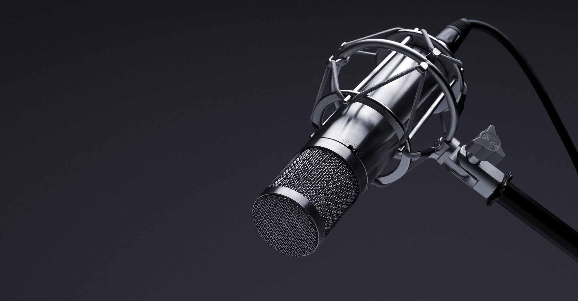 Des baleines et des hommes